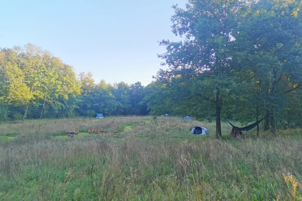 Rondleiding voedselbos