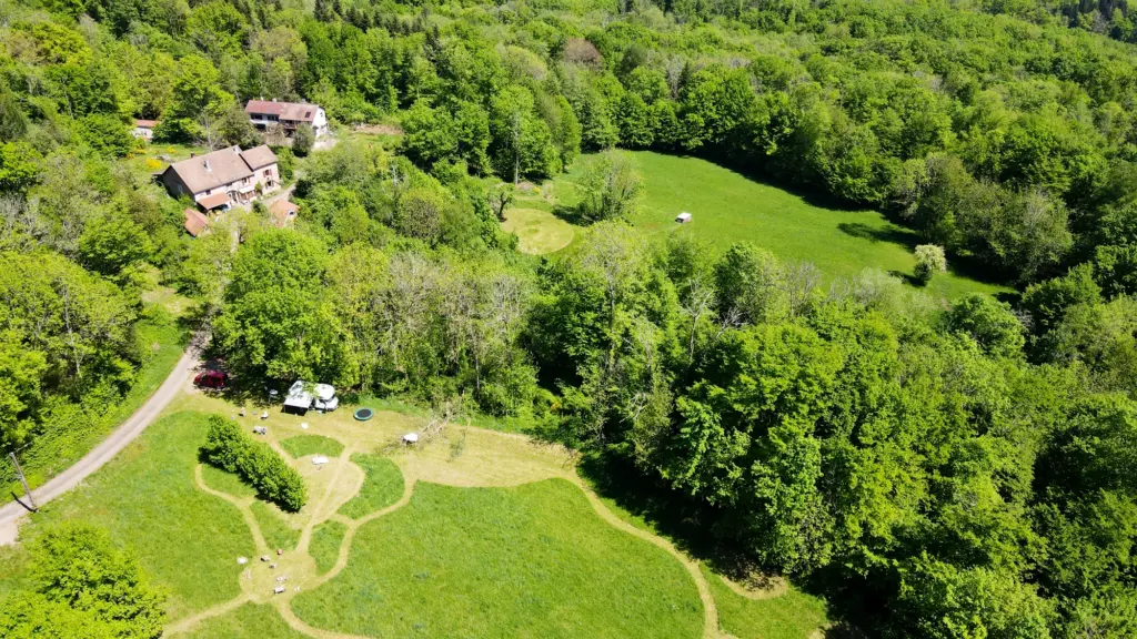 De schapen bij Centre TerraViva