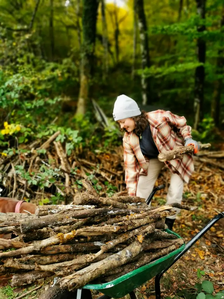 Rondleiding voedselbos