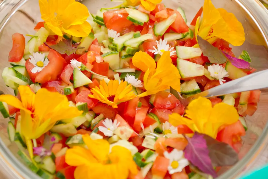 De schapen bij Centre TerraViva