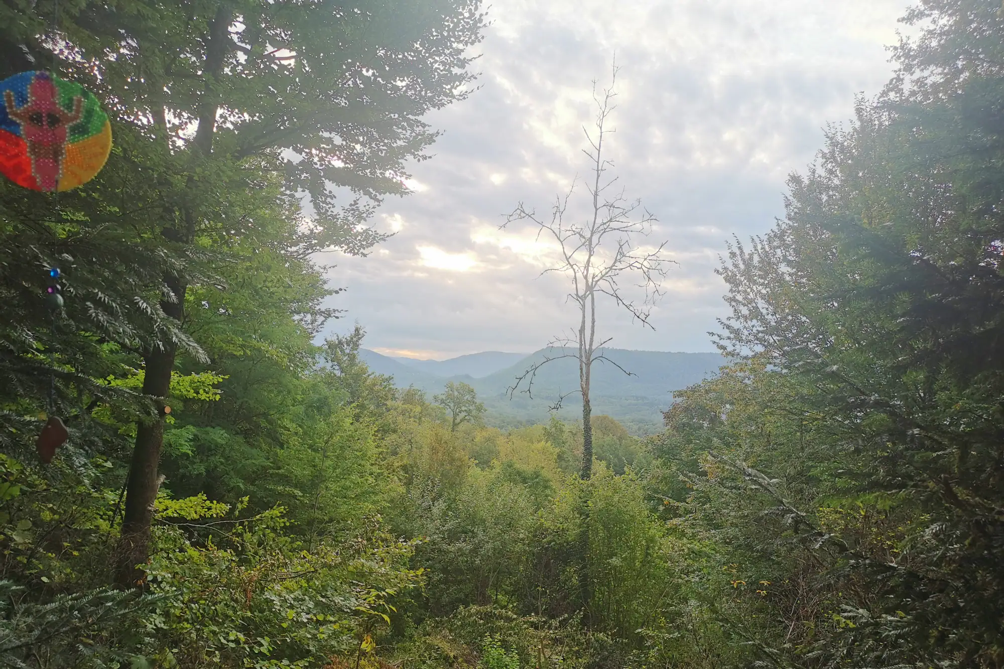 View from Centre TerraViva