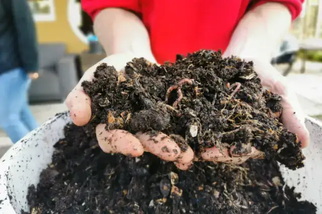 Cursus The solutions are in the soil